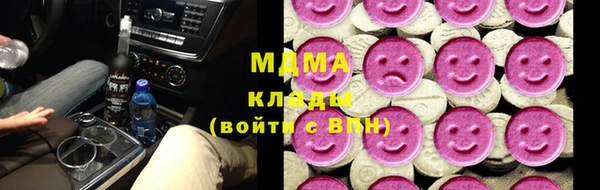 молекула духа Вяземский