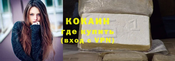 PSILOCYBIN Майский