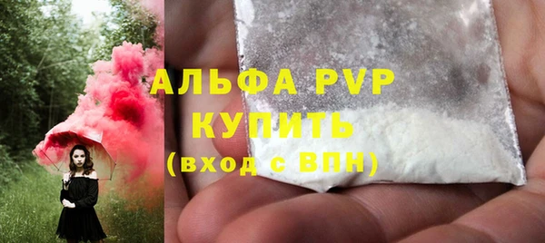 PSILOCYBIN Майский